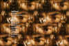 dvdgb1c.jpg (162237 byte)
