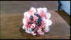 24.jpg (380665 byte)